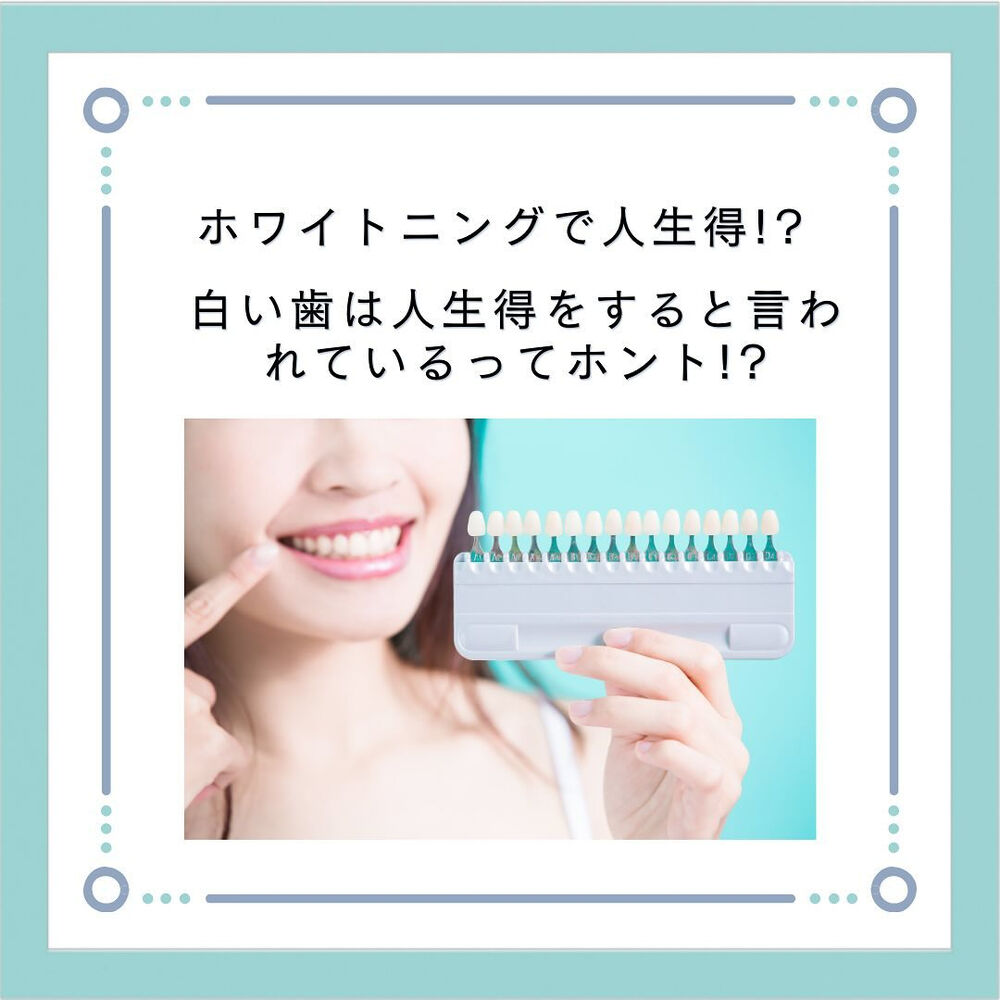 ブログ